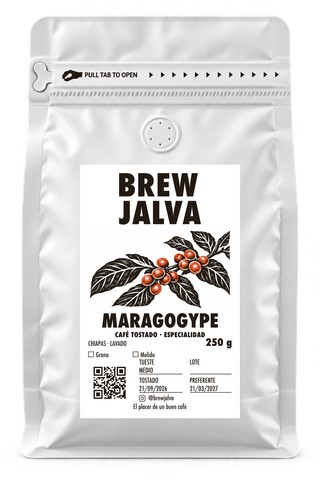 Bolsa de café Maragogype